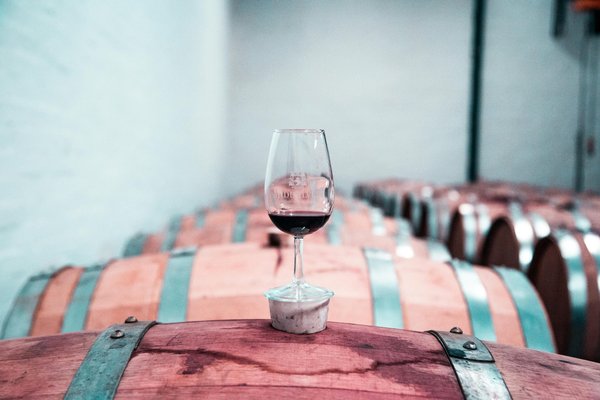 Découvrez la cave du canal : un voyage au cœur des vins parisiens